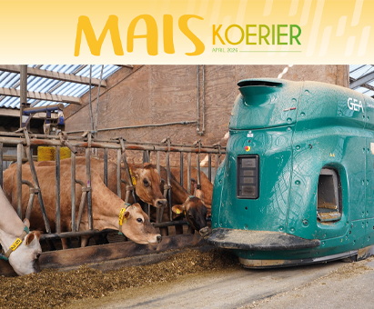 26-MAIS KOERIER_TEASER1.png